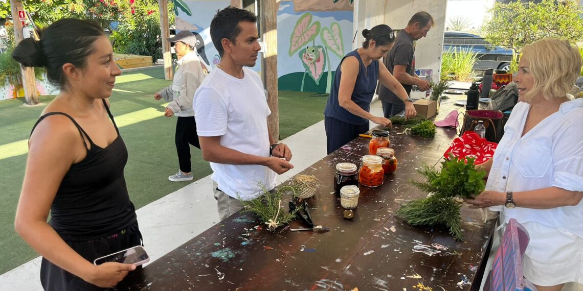 Huertos que Transforman: Taller comunitario en La Playa promueve el cultivo en casa