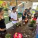 Huertos que Transforman: Taller comunitario en La Playa promueve el cultivo en casa