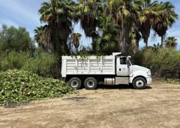 Puerto Los Cabos se suma al rescate del estero de San José con maquinaria pesada