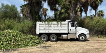 Puerto Los Cabos se suma al rescate del estero de San José con maquinaria pesada