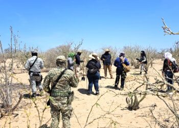 Llevan a cabo jornadas de búsqueda generalizada en La Paz y Comondú; Localizan 7 Fosas Clandestinas
