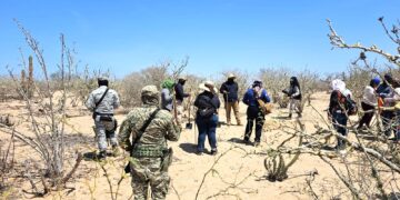 Llevan a cabo jornadas de búsqueda generalizada en La Paz y Comondú; Localizan 7 Fosas Clandestinas