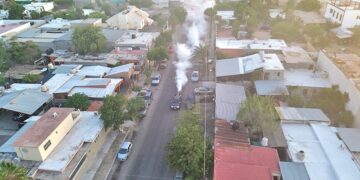 Avanzan los operativos de fumigación en La Paz y Los Cabos