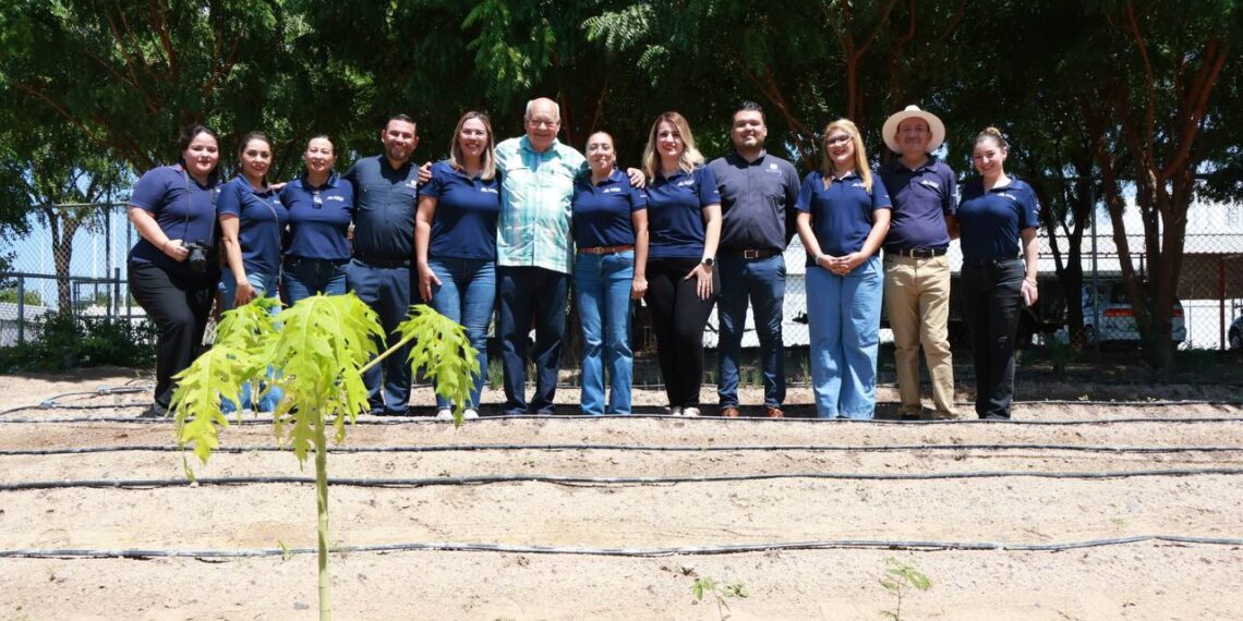 Reconoce Castro Cosío el trabajo del ICATEBCS en beneficio de la población sudcaliforniana