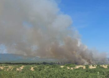 Movilizan a Bomberos por Descomunal Incendio Forestal en Cabo del Este