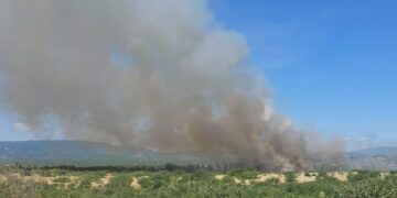 Movilizan a Bomberos por Descomunal Incendio Forestal en Cabo del Este