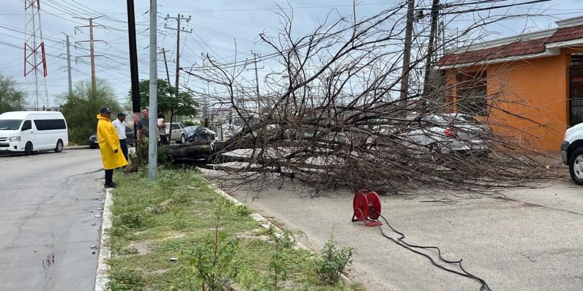 Bomberos atienden diversos servicios por efectos de huracán “Priscilla “