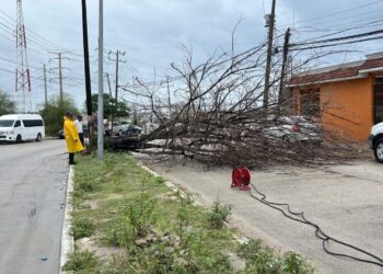 Bomberos atienden diversos servicios por efectos de huracán “Priscilla “