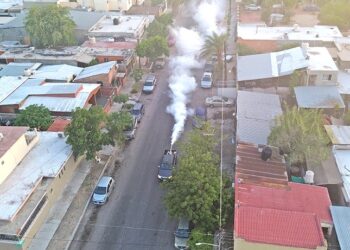 Más de 27 mil áreas de La Paz y Los Cabos han sido atendidas con ciclos de fumigación en 2025: SSA