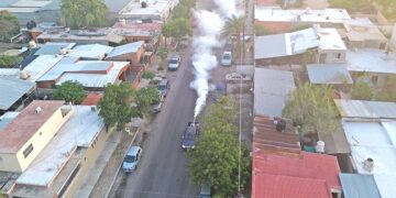 Más de 27 mil áreas de La Paz y Los Cabos han sido atendidas con ciclos de fumigación en 2025: SSA