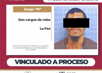 Detenido por Robo “Hormiga” de …189 Bloks de Concreto