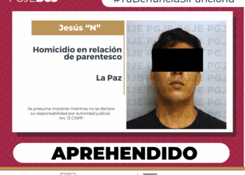 Detenido por  Homicidio en Razón de Parentesco o Relación, en agravio de un Hombre