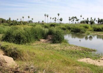 Curso fortalece estrategia integral contra incendios forestales en San José del Cabo