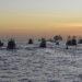Torneo de Pesca Deportiva, Bisbee’s  Black & Blue: Van por un Marlin de 7.4 Millones de Dólares
