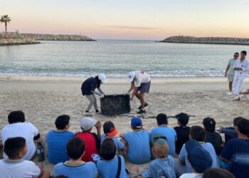 La Playa Centro Comunitario y Hotel El Ganzo promueven conservación con liberación de tortugas marinas en Los Cabos