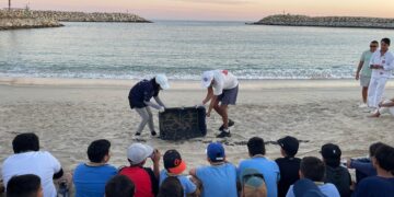 La Playa Centro Comunitario y Hotel El Ganzo promueven conservación con liberación de tortugas marinas en Los Cabos