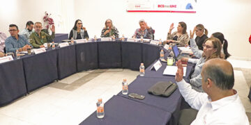 Refuerza BCS prevención de chikungunya con método Wolbachia