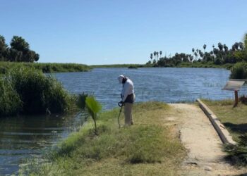 CIBNOR respalda el Plan de Regeneración del Estero Josefino como eje para su recuperación ambiental