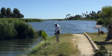CIBNOR respalda el Plan de Regeneración del Estero Josefino como eje para su recuperación ambiental