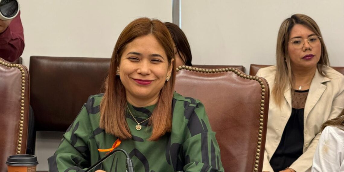 Berenice Serrato Integrante en la Primera Sesión del Consejo de Paz y Justicia Cívica