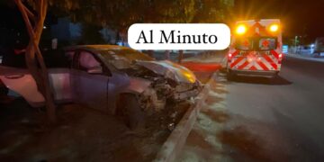 Dos Lesionados, en choque contra …Árboles